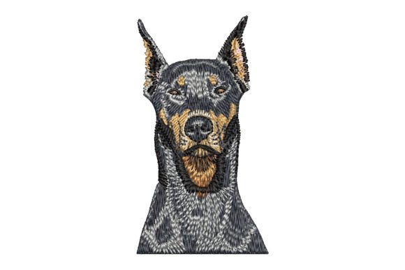 Doberman Pinscher